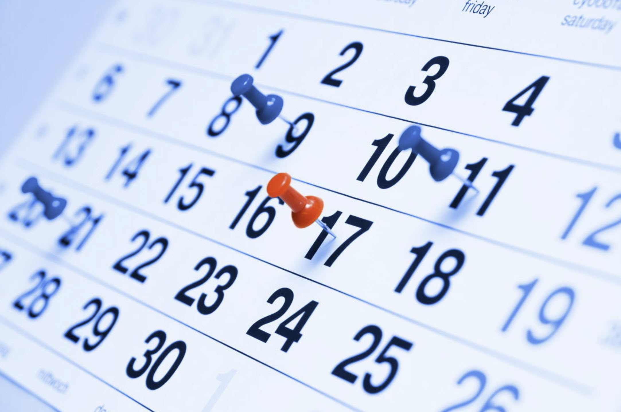 ManateeCoveCalendar